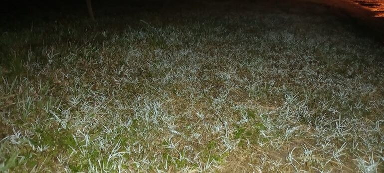 Primeras escarchas en Pilar, Ñeembucú