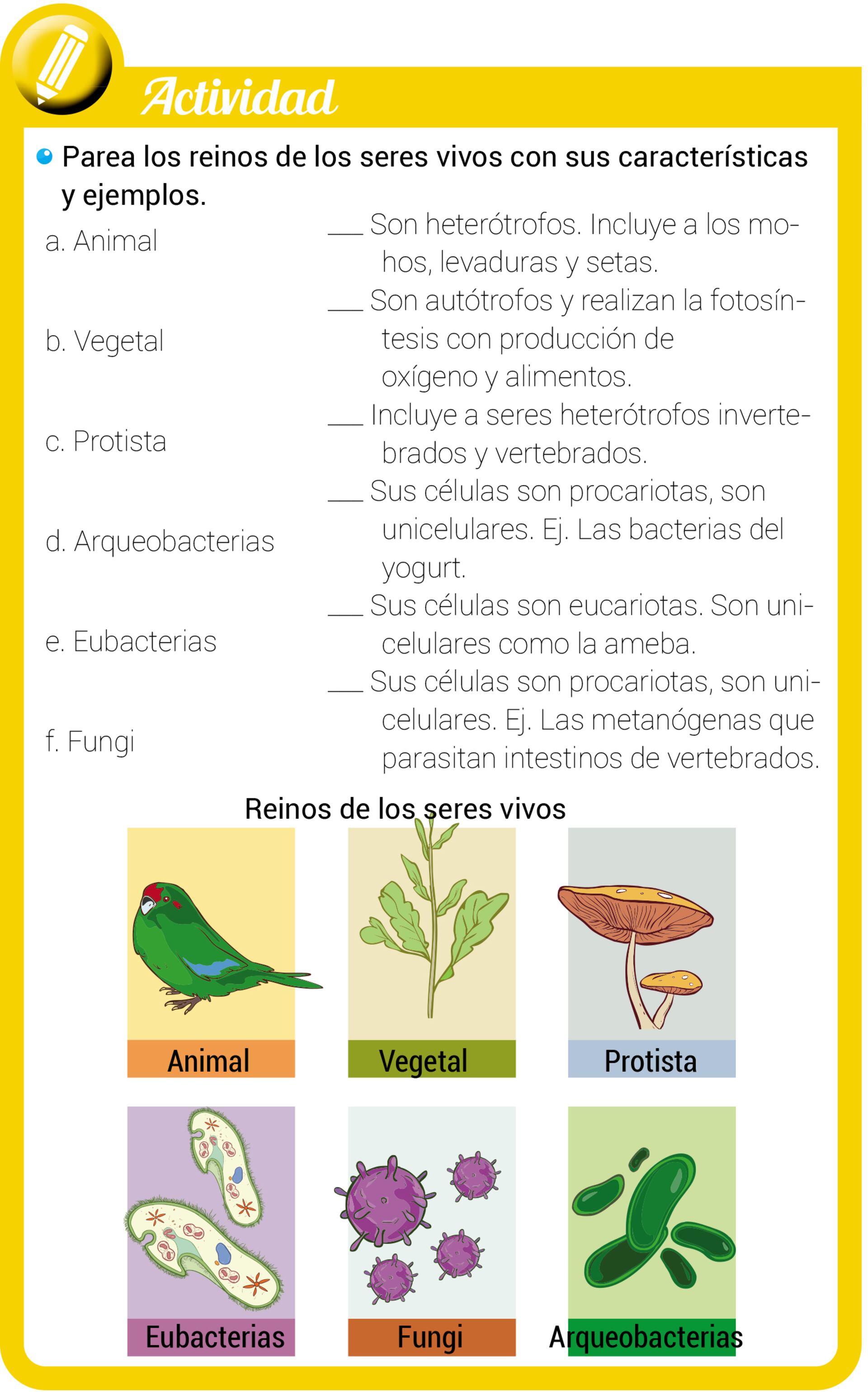 Los reinos de los seres vivos - Escolar - ABC Color