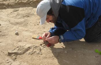 Fotografía cedida por al Fundación Azara de un paleontólogo reúne los restos fósiles de un ejemplar de 'Desmodus draculae', un "vampiro gigante" extinto, en el arroyo de la Ballenera, Buenos Aires (Argentina). En una cueva de la costa atlántica argentina, un grupo de investigadores encontraron los restos fósiles de un vampiro gigante, el extinto 'desmodus draculae', de más de 100.000 años de antigüedad, un hallazgo que alimenta la hipótesis de que las condiciones climáticas de la zona eran diferentes a las actuales.
