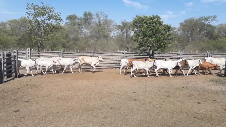 /pf/resources/images/abc-placeholder.png?d=2402