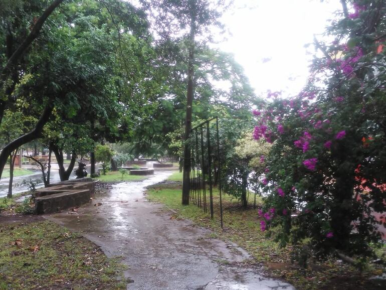 Lluvia mansa y tranquila sobre Encarnación, en la llegada del otoño.
