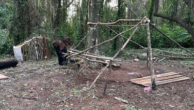 Los restos de árboles derribados utilizaron para armar casas y corrales para aves en el predio invadido.