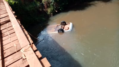 Hermanos mueren al caer al río de un puente en construcción.