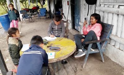 El 70% de los alumnos no puede acceder a la educación virtual y necesita materiales impresos.