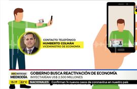 Gobierno busca reactivación económica