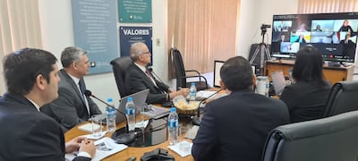 Una de las videoconferencias entre autoridades y técnicos del Senacsa con sus pares del servicio sanitario de Canadá.