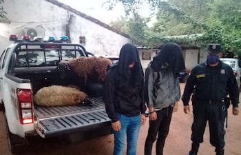 Los detenidos habrían admitido el robo.