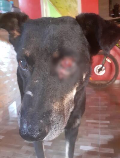 /pf/resources/images/abc-placeholder.png?d=2424