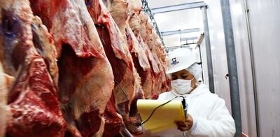 Una oficial del Senacsa controla  las carcasas, en un frigorífico.