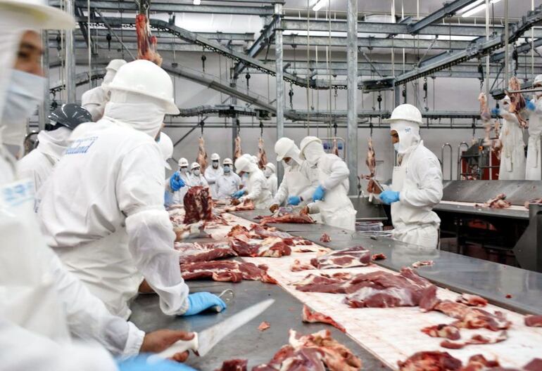 Fotografía ilustrativa del interior de un frigorífico de carne bovina, 