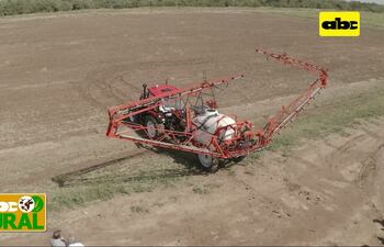 Jornada de Campo de Cultivos de Verano en el Chaco
