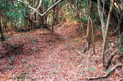 Trincheras de Curupayty en la actualidad.