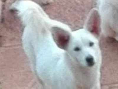 /pf/resources/images/abc-placeholder.png?d=2394