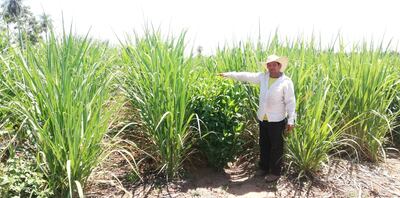 Productores de Arroyos y Esteros fortalecen sus producciones con nuevas técnicas.