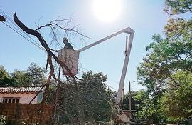 La ANDE ayer seguía retirando ramas caídas sobre los cables.