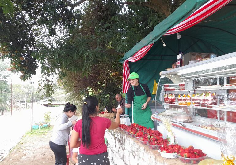 La Feria de frutillas, tuvo muy buena aceptación de los  visitantes  y está habilitada de jueves a domingo de 8:00 a 17:00 en Caacupé.