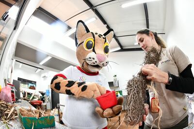 Tiríka visitó el Centro de Investigación de Animales Silvestres de Itaipú