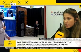 Defensa animal demandará al pastor por apología al maltrato de gatos