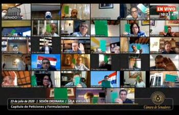 Sesión virtual de hoy en el Senado.