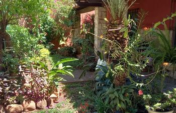 Comuna fernandina organiza el primer concurso de jardines.