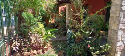 Comuna fernandina organiza el primer concurso de jardines.