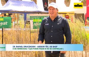 Manejo de herbicidas, y que puede pasar si no se controlan las malezas