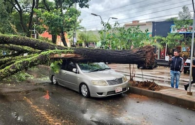 Afortunadamente a pesar de los daños materiales, no hubo pérdidas humanas que lamentar.