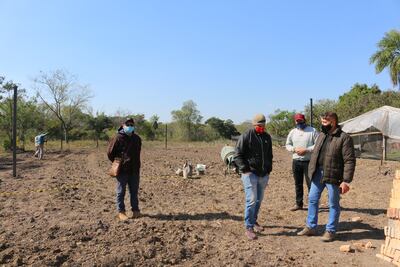 En Pilar jóvenes apuestan a la horticultura