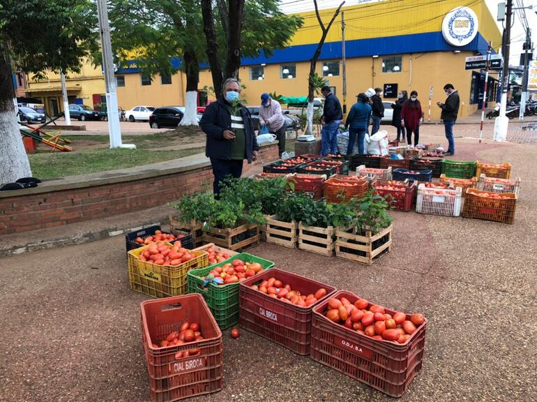 Plantines son regalados a los visitantes en la plaza de Concepción.