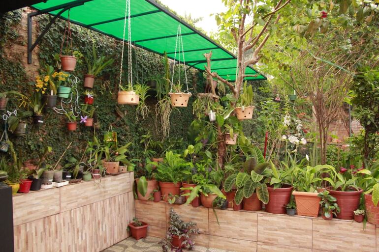 Uno de los participantes del I Concurso de Jardines que organiza la Municipalidad de Fernando de la Mora.