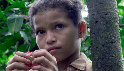 El largometraje portugués “Understory” es uno de los estrenos que propone el festival.