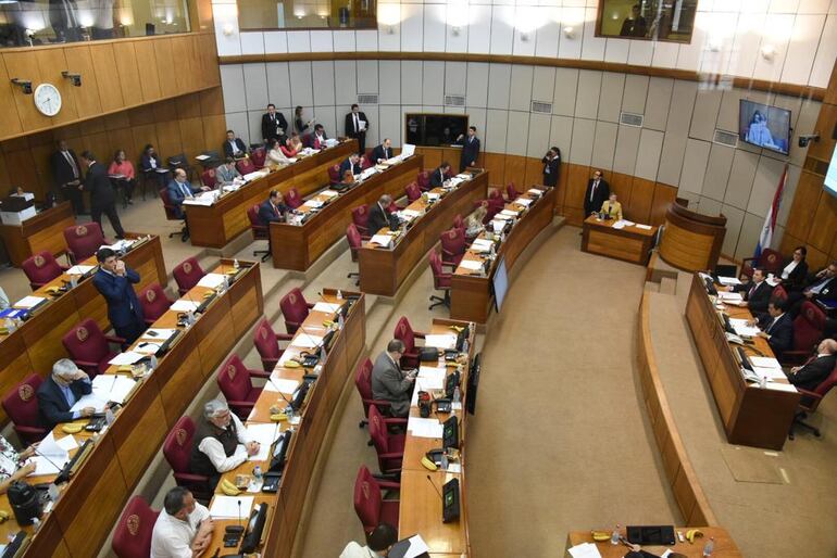 Plenario del Senado, hoy.