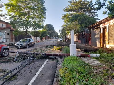 Columnas siguen caídas sobre la calle Pedro Juan Caballero, casi Cacique Lambaré.