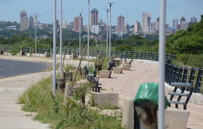 Las malezas tomaron los paseos, veredas y se suben hasta los asientos de la Costanera Norte.