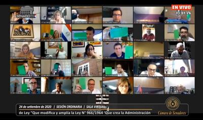 La mayoría de los senadores votaron en contra de la modificación de la carta orgánica de la ANDE.