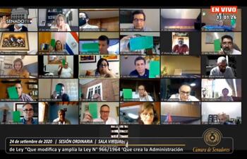 La mayoría de los senadores votaron en contra de la modificación de la carta orgánica de la ANDE.