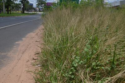 Banquina de la Autopista Silvio Pettirossi, que testimonia la gestión municipal y la falta de amor propio de empleados comunales, en este caso de Luque.