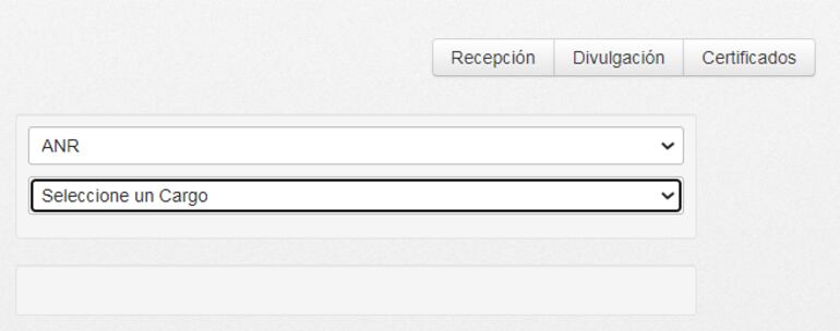 El primer paso fue seleccionar "ANR", lo cual ya te habilitada al segundo, que es optar por el cargo de "Intendente".