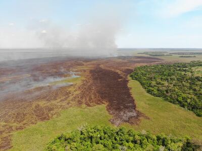 Incendio que se registró en la reserva ecologica Isla Susu, donde se encuentra un proyecto inmobiliario.