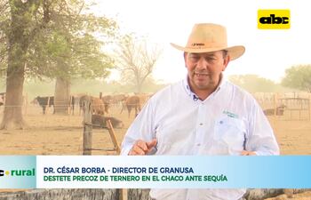 Destete precoz de ternero en el Chaco ante sequía