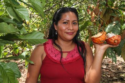El cacao fino tiene ADN latinoamericano