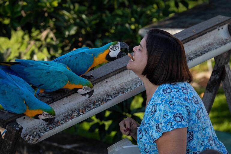 Cristina Ochoa alimenta a una guacamaya.