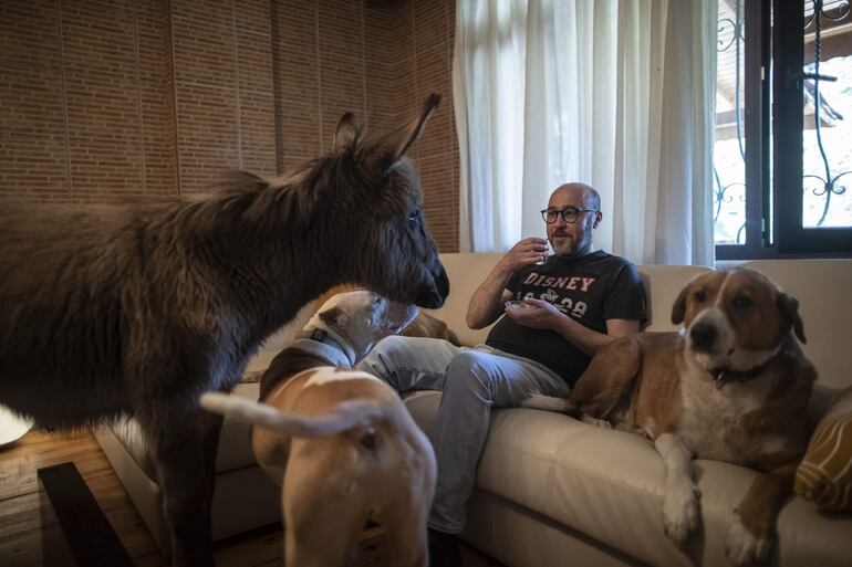 Mert Akkok toma té rodeado del cariño de sus perros y un burro, en la sala de su casa. 
