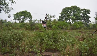 Uno 140 lotes de San Bernardino quedaron en manos de la empresa Carwa SA, del matrimonio Heisecke-Schauman.