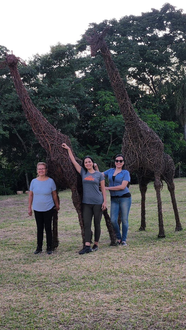 Figuras de jirafas en tamaño real hechos de ysypo.