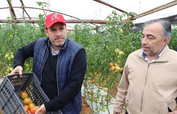 Ing. Rodrigo González, presidente del Senave, con el ministro anticorrupción, Emilio Fuster, dos meses atrás, en una zona de producción de tomate, dando a entender el compromiso institucional de defender la producción nacional; pero, uno de los audios dice que algunos funcionarios van de contramano.