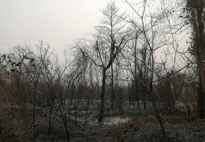 Los focos de calor y los incendios fueron desapareciendo con la llegada de las temperaturas frescas, el viento sur y las lluvias.