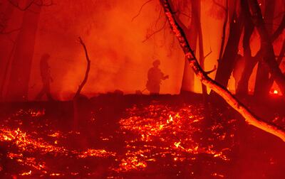 Bomberos trabajan en un área en llamas en Calistoga, California.