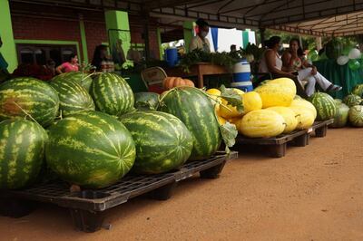 La feria de sandías sigue hasta mañana, sobre la ruta PY06 en Tavapy.