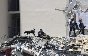 Mientras los trabajos prosiguen incesantemente, la cifra de fallecidos se mantuvo en 9 confirmados hasta el momento. Aunque aún hay cientos de desaparecidos.